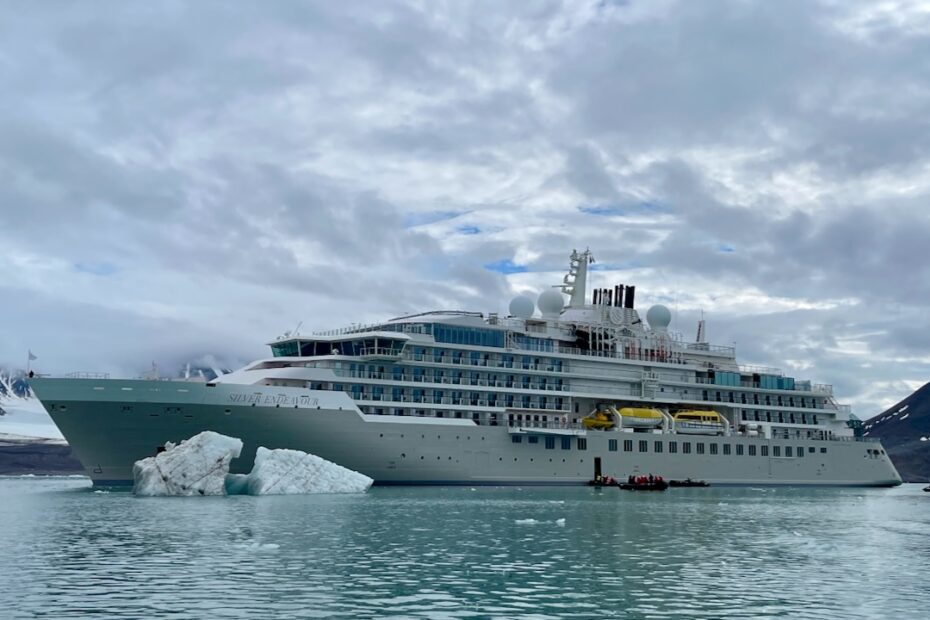 Silver Endeavour : luxe et expédition dans l’Arctique